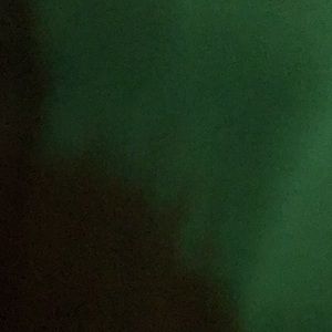 Meet your Posher, Callie